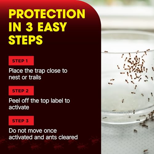 Doff 2-in-1 Ant & Nest Bait Killer | Pre-Baited Stations for Ant Control | Indoor & Outdoor Use | Safe for Pets & Children | Easy to Use