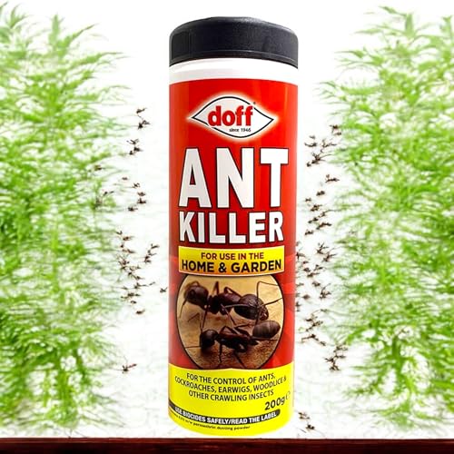 Doff Ant Killer Powder for Indoor and Outdoor Use: Strong for Lawns, Home, Garden - Kill Ants, Silverfish Cockroaches, Woodlice, Earwigs, Other Crawling Insects - 200g (2 Bottles)