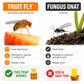 Alimos Fruit Fly Trap for Indoors, 2 Pack Fruit Fly Killer for Home and Kitchen, Natural Bait Fruit Fly Catcher, Up to 3 Weeks per Bottle, Child and Pet Friendly Indoor Fruit Fly Traps