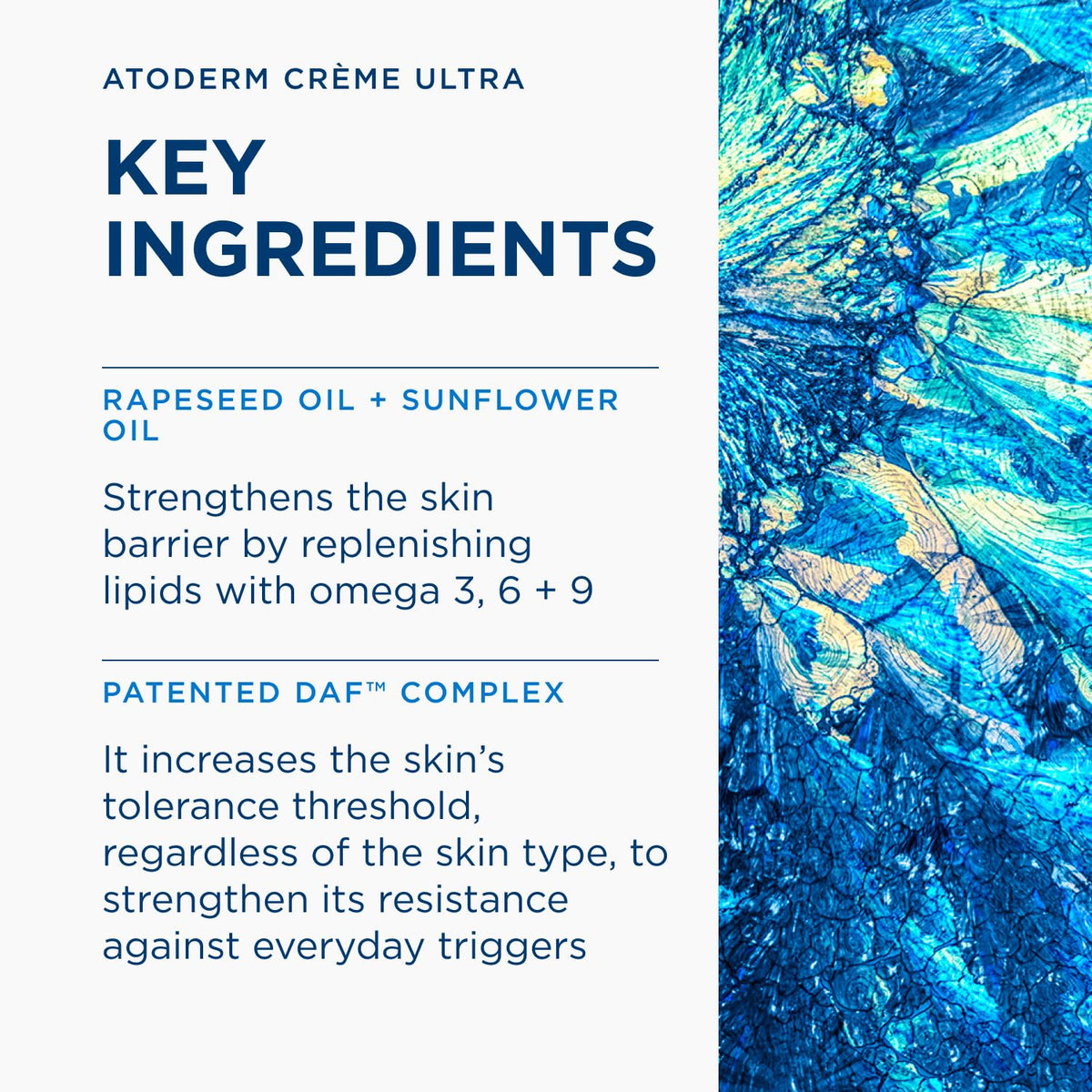 Bioderma Atoderm Cream Ultra Moisturiser for Dry Sensitive Skin 500ml